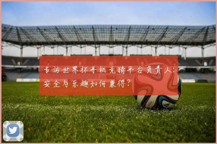 专访世界杯手机竞猜平台负责人:安全与乐趣如何兼得?