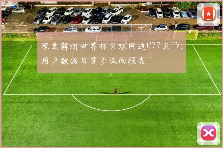 深度解析世界杯买球网追C77点TV：用户数据与资金流向报告