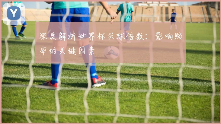 深度解析世界杯买球倍数：影响赔率的关键因素