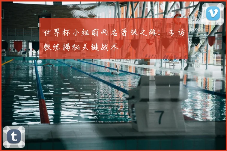 世界杯小组前两名晋级之路:专访教练揭秘关键战术